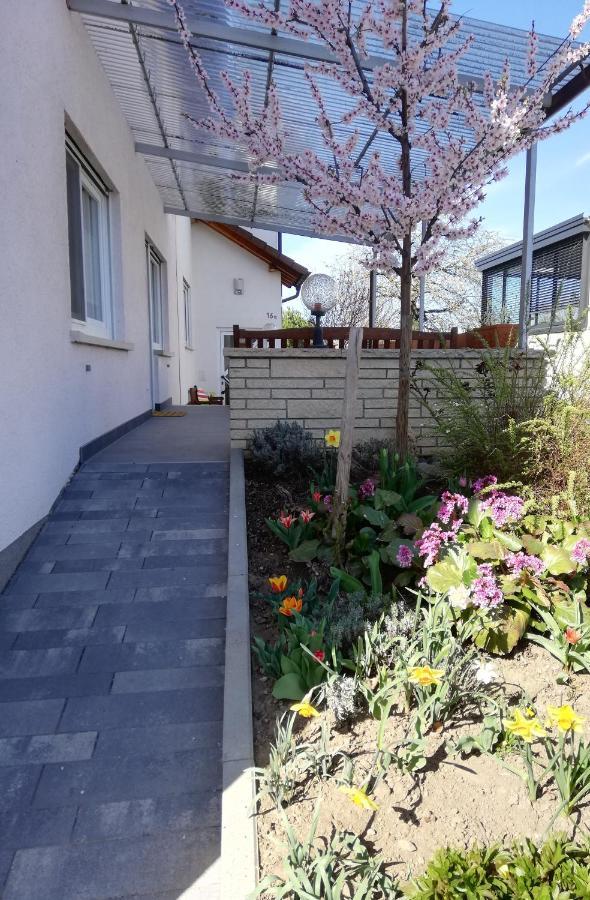Ferienhaus Rauwolf Mit 2 Ferienwohnungen Roschbach Dış mekan fotoğraf
