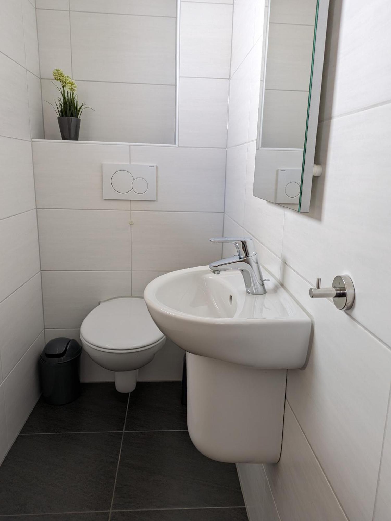 Ferienhaus Rauwolf Mit 2 Ferienwohnungen Roschbach Dış mekan fotoğraf