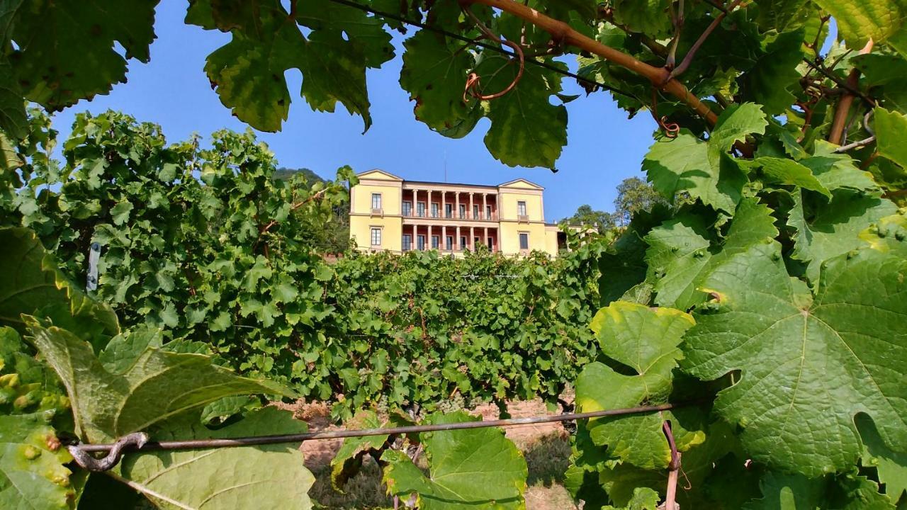 Ferienhaus Rauwolf Mit 2 Ferienwohnungen Roschbach Dış mekan fotoğraf